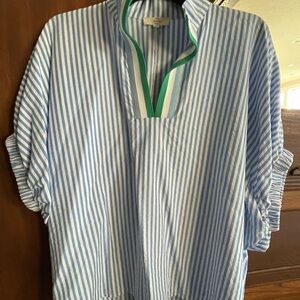 entro Blue and White Striped Casual Button-Down Shirt with Green Trim